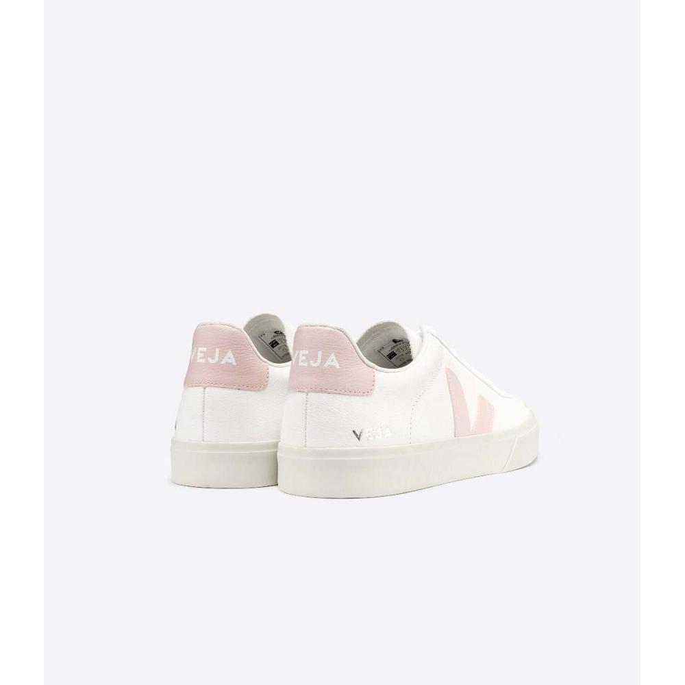 Veja CAMPO CHROMEFREE Women's Low Tops Sneakers White/Pink | NZ 463KOR